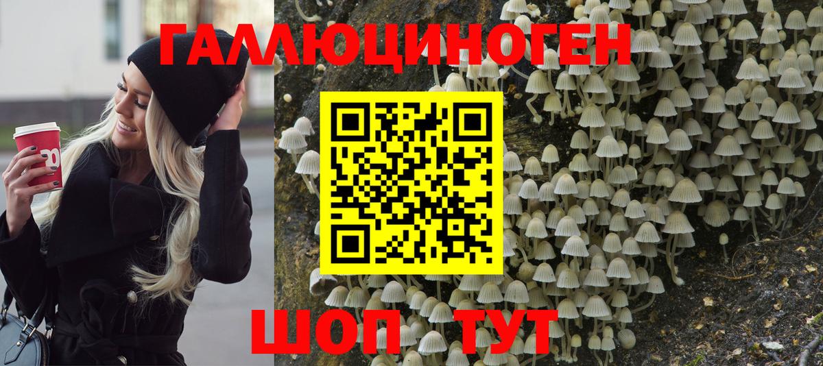 Псилоцибиновые грибы мухоморы  Вход с VPN  Ялуторовск 